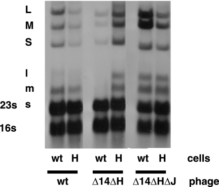 FIG. 5.