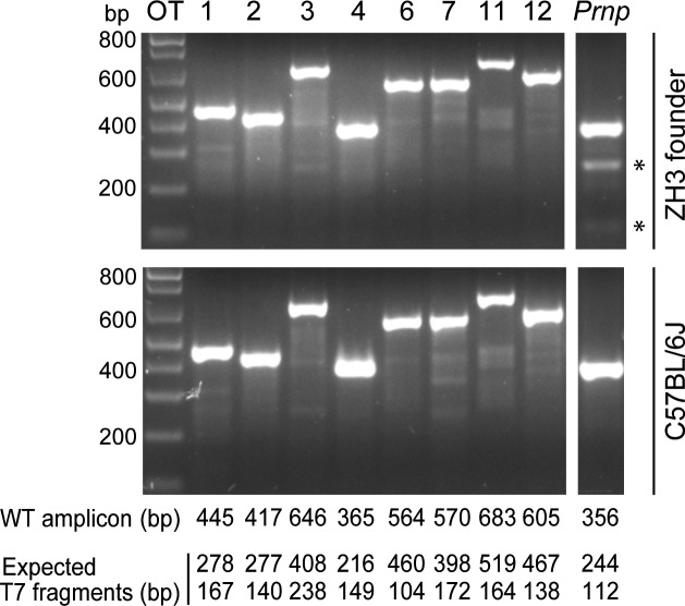 Figure 2.