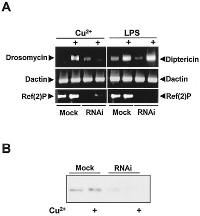 FIG. 8.