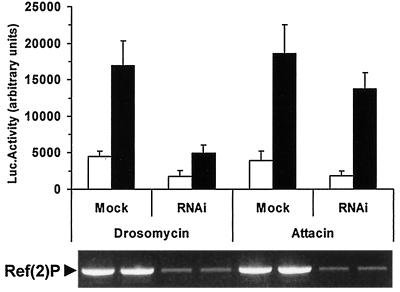 FIG. 7.