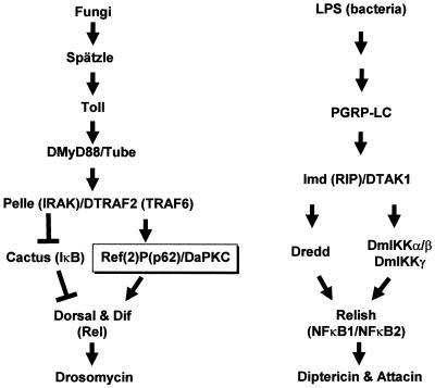 FIG. 12.