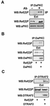 FIG. 9.