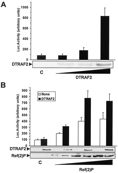 FIG. 10.