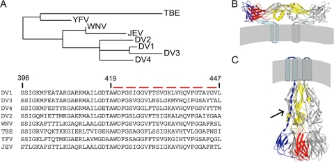 FIG. 1.