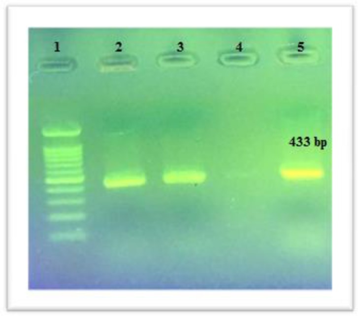 Figure2