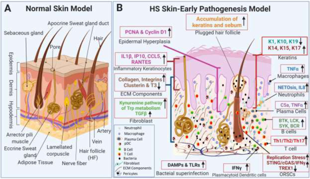 Figure-1: