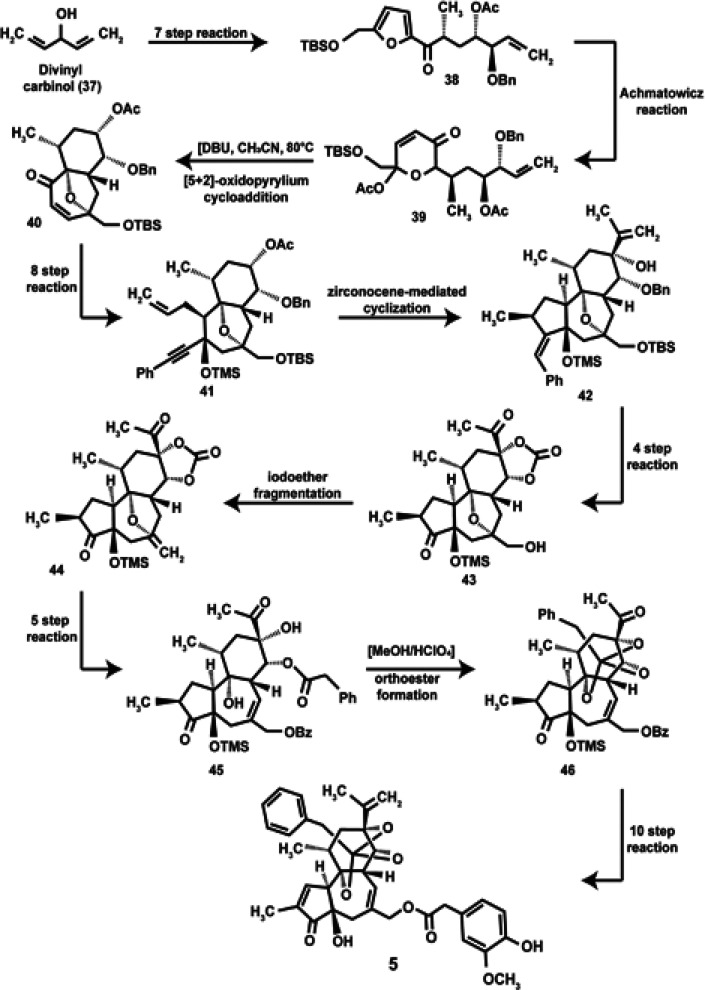Scheme 4