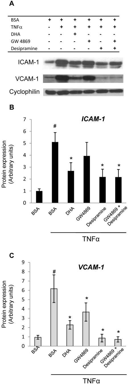 Figure 7.