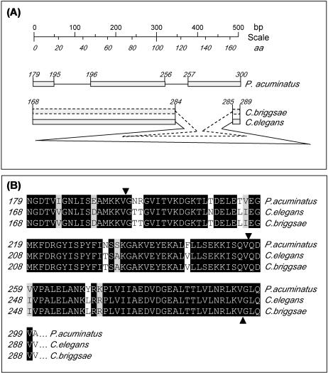 Fig 2. 