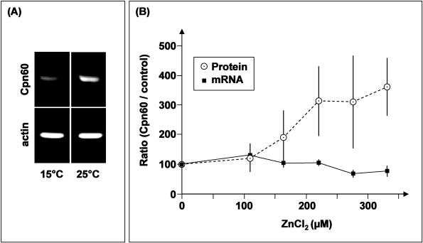 Fig 3. 