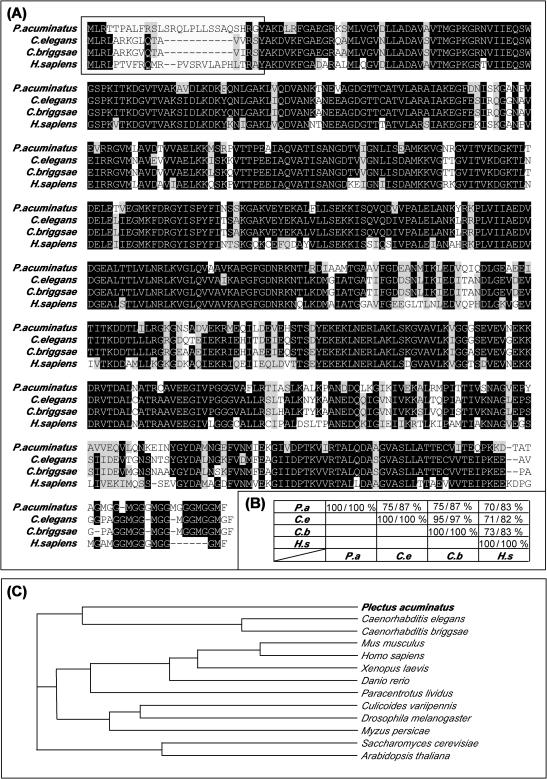 Fig 1. 