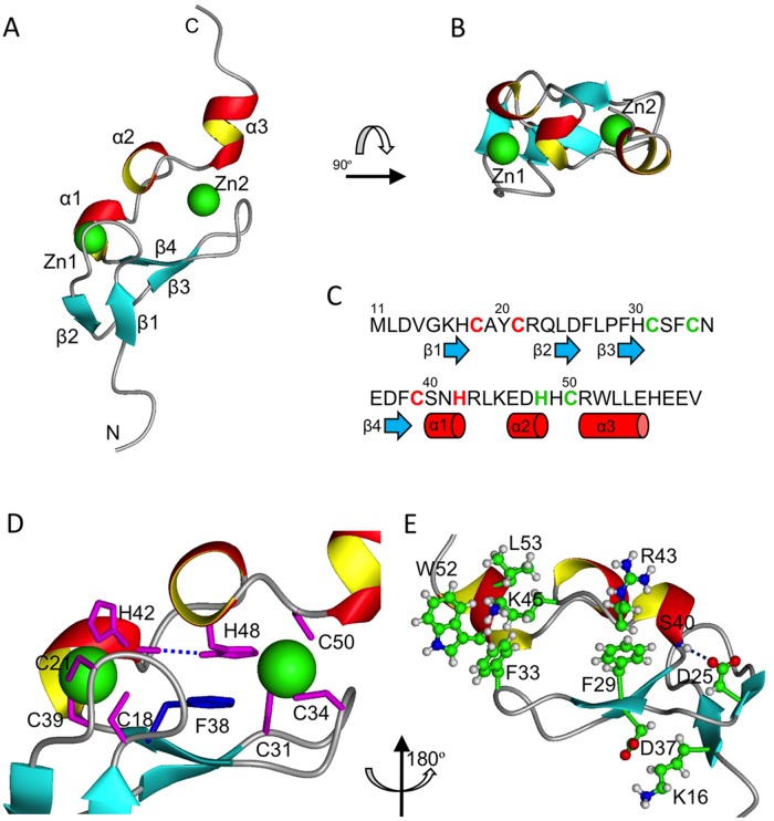 Fig 2