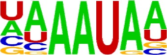 graphic file with name fgene-10-00647-g011.jpg