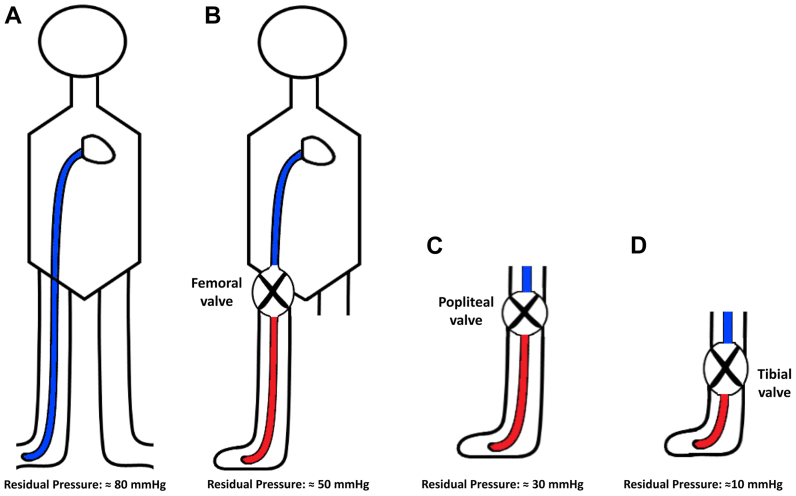 Fig 3