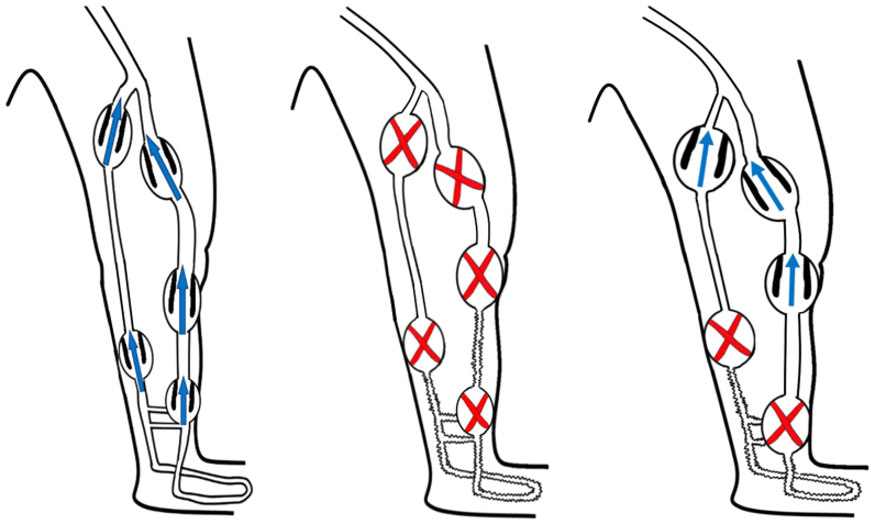 Fig 2