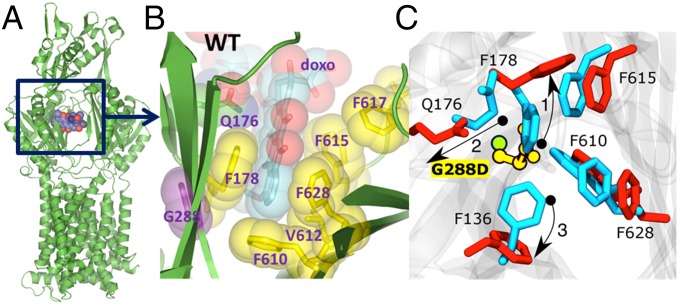 Fig. 1.