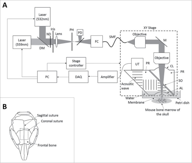 Figure 1.