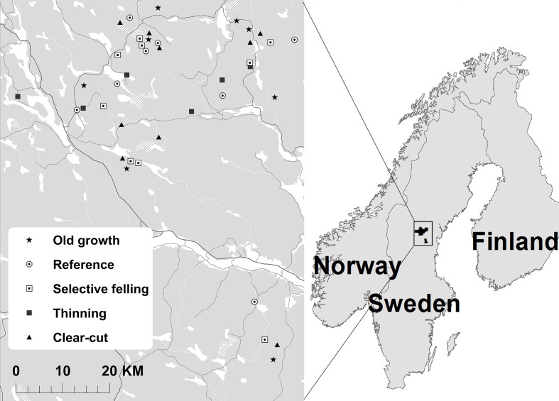 Fig 1