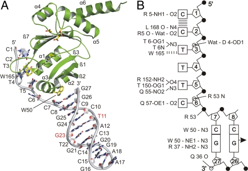 Fig. 6.