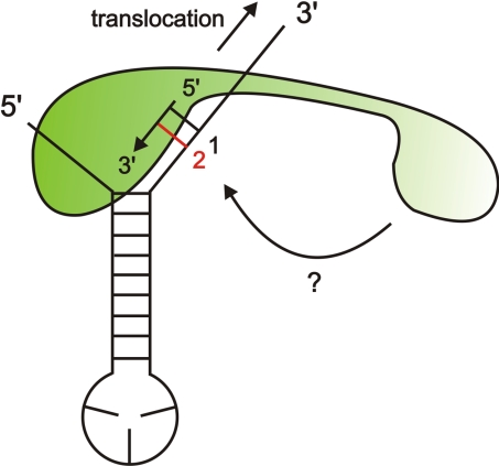 Fig. 8.