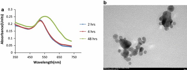 Fig. 1