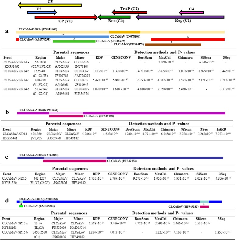 Fig. 4