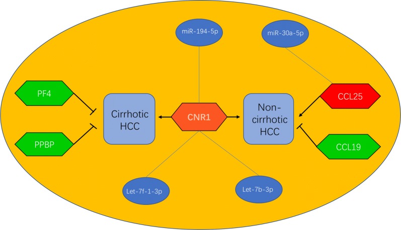 Fig. 6