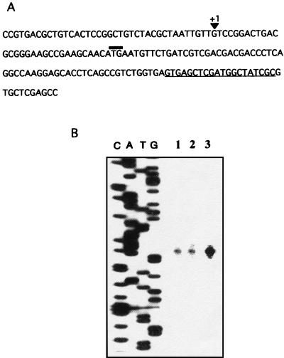 FIG. 6