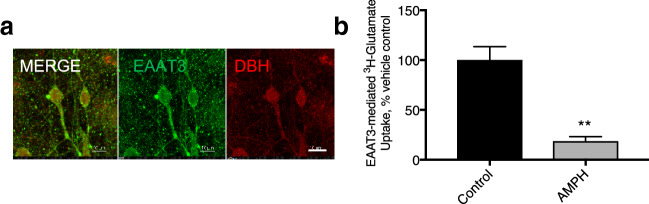 Fig. 7