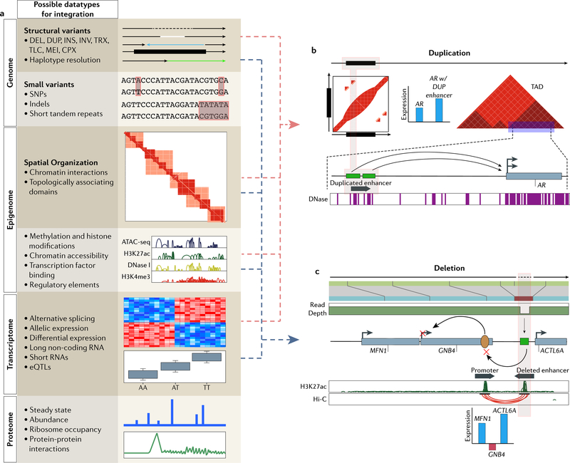 Figure 3 |