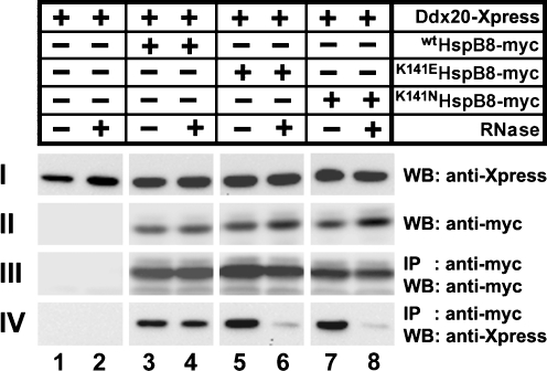 Fig. 5