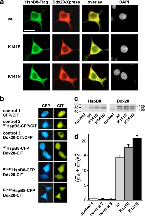 Fig. 4