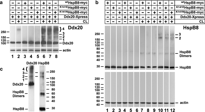 Fig. 3