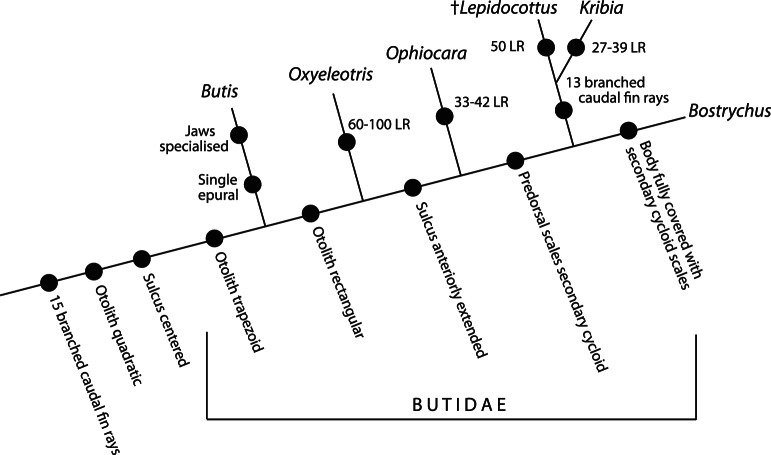 Figure 8