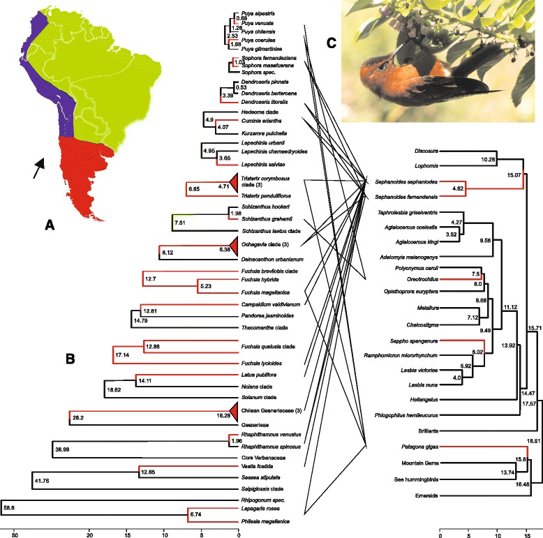 Fig. 2