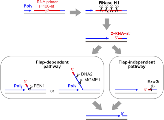 Figure 6.