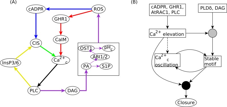 Fig 7