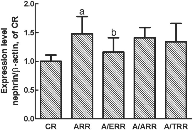 Fig. 6