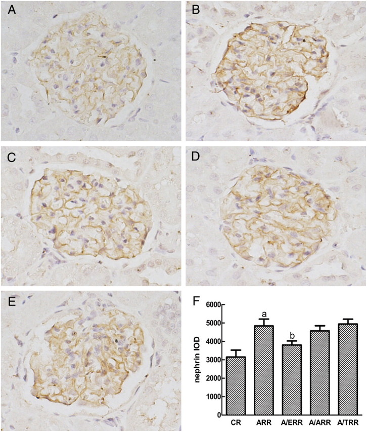 Fig. 5