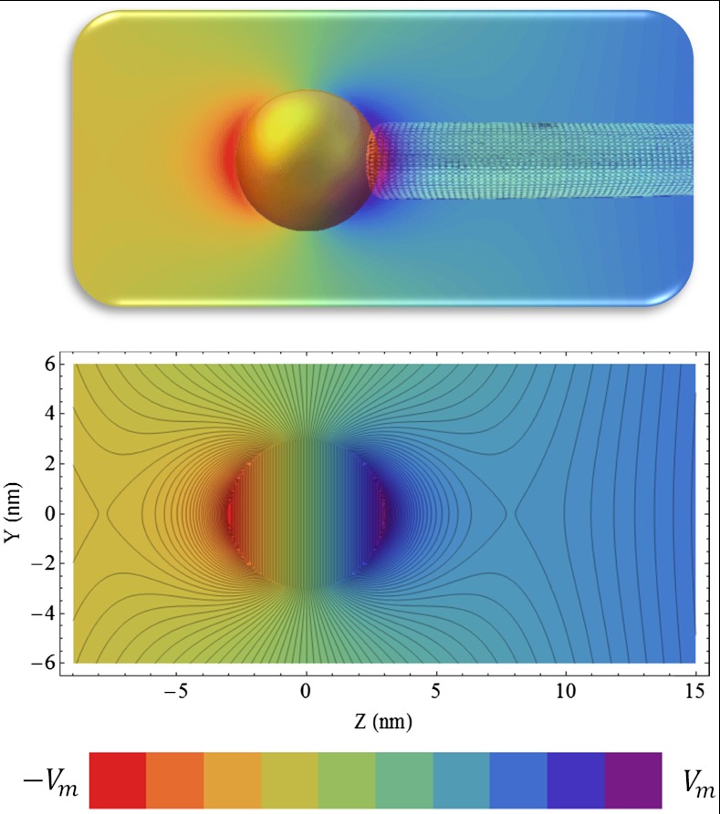 Fig. 1.