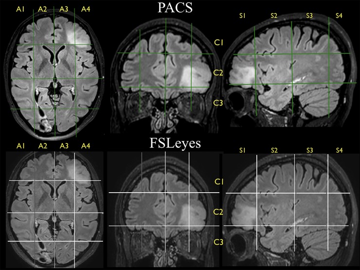 Fig 2