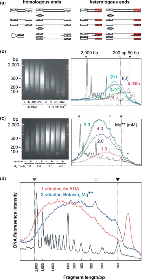 Figure 2.