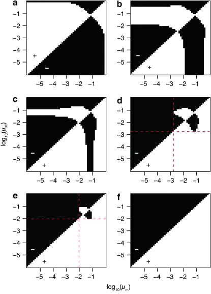 Figure 3.—