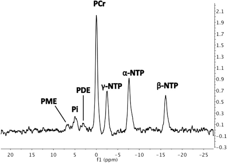 FIG. 2.