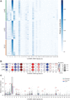 Figure 3. Mutation signatures comparison. A, Mutation signatures in lung cancer cohort. Heat map of the relative contribution of each COSMIC single-base substitutions (SBS) signature for each sample. The samples are grouped on the basis of the lung cancer subtype indicated by the color band (orange, SCLC; purple, LUSC; and green, LUAD). B, Mutation signature difference between coding and the noncoding genome. Comparison of underlying signature distribution between coding and noncoding regions in LUAD, LUSC, and SCLC for a subset of COSMIC SBS signatures. For a given signature, the color of the marker corresponds to the difference between the mean contribution in coding and the noncoding region. The size represents the P value (Wilcoxon rank-sum test). Only the subset of signatures with significant contribution differences in at least one of the cohorts (P < 0.05) are reported. C, Mutation signature associated with the enhancers, promoters, and exons. Box and whiskers plots of the relative contribution of mutation signature in enhancers (dark cyan), promoters (salmon pink), and exons (powder blue). The statistical significance of comparisons (P value < 0.05) is presented as star marks. Each point in the boxplot represents a sample.