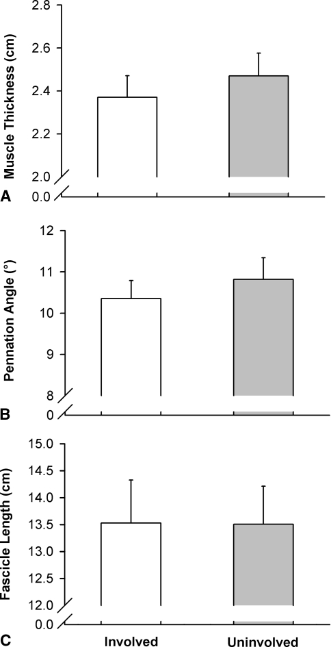 Fig. 3A–C