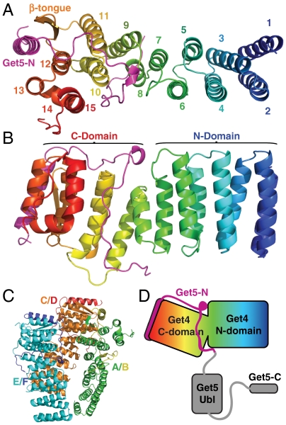 Fig. 1.