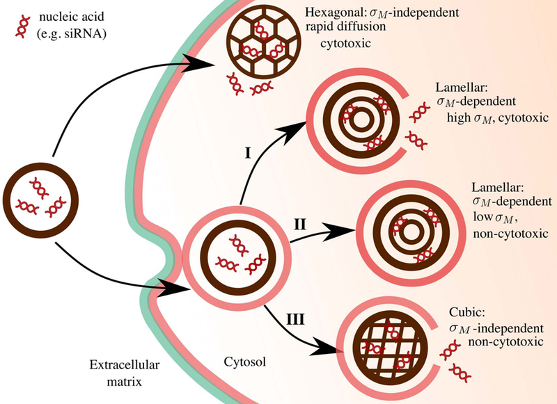 Figure 10.