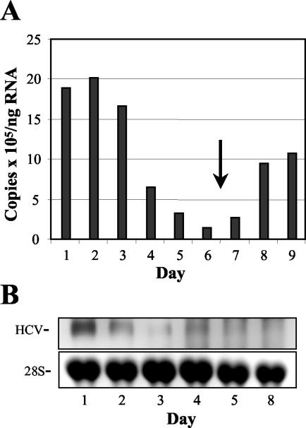 FIG. 6.