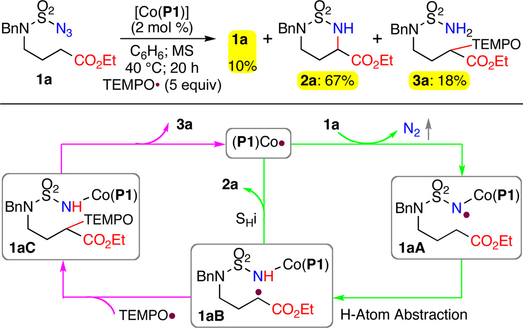 Scheme 3